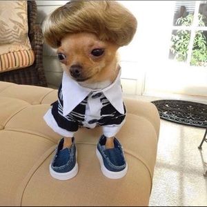 Meet your Posher, Daniel